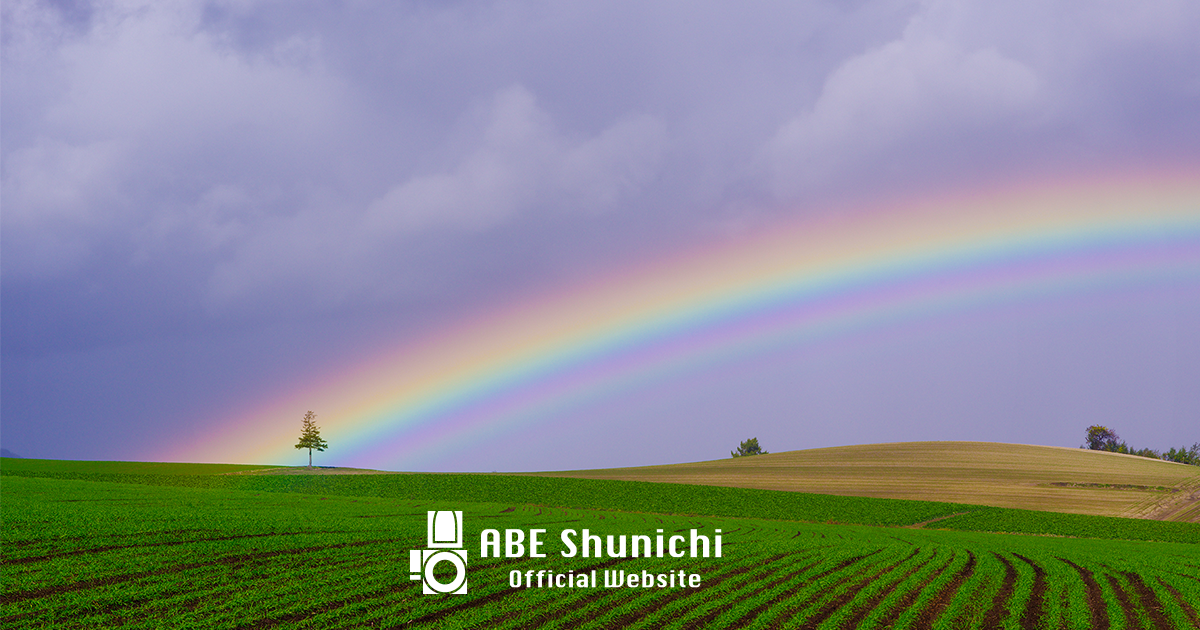 Gallery - 阿部俊一オフィシャルサイト