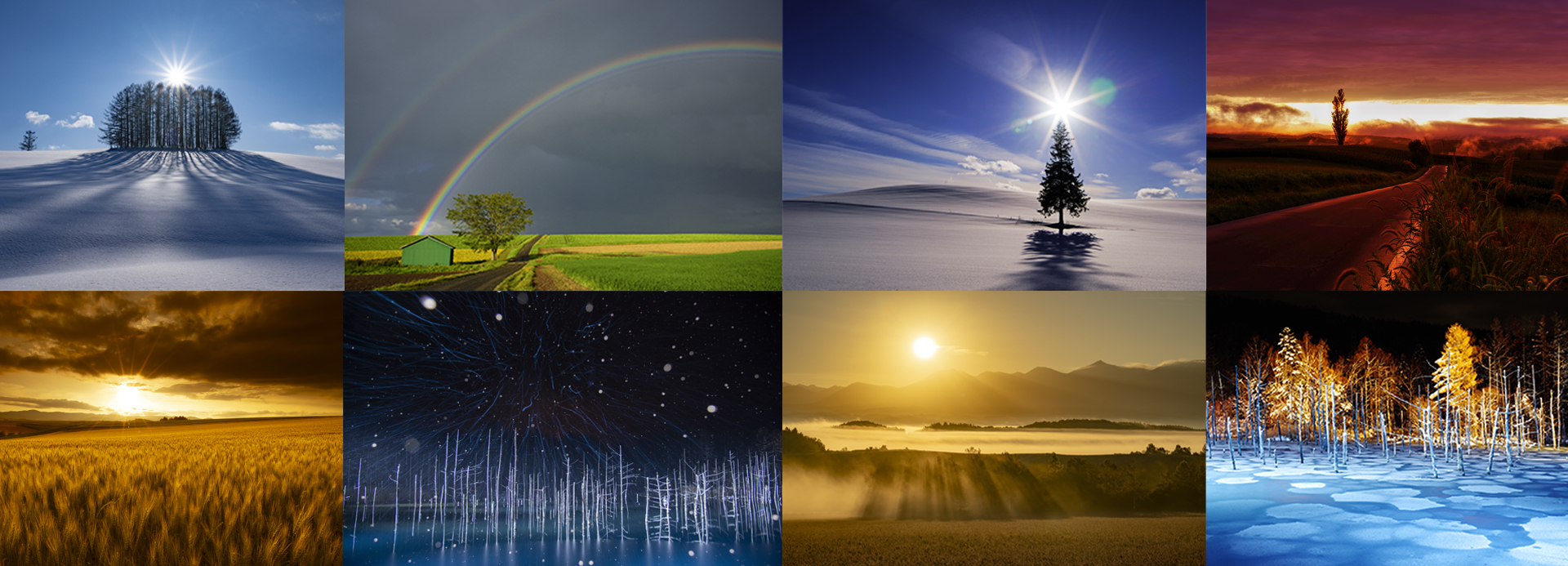 写真撮影ツアーヘッダーイメージPC版